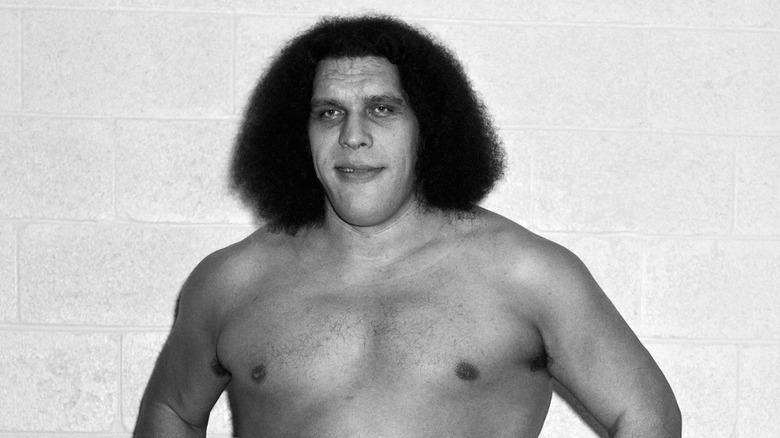 Andre The Giant