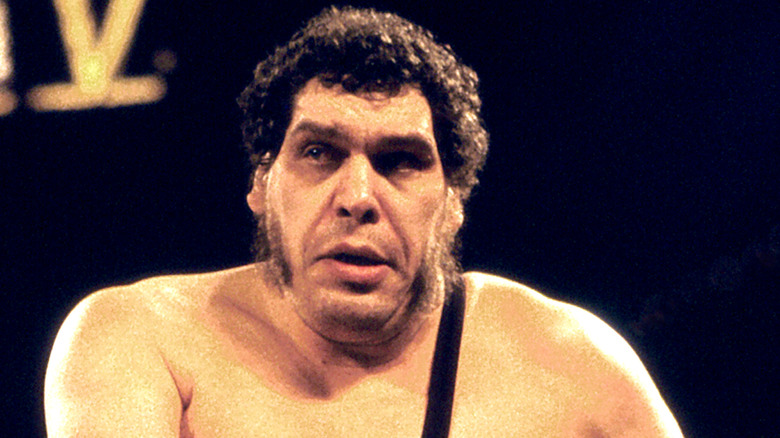 Andre The Giant at WrestleMania V
