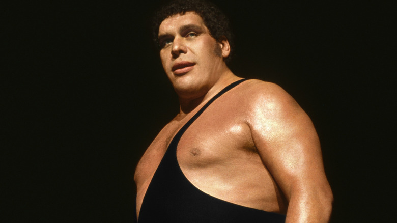 Andre The Giant smiling in promotional photo