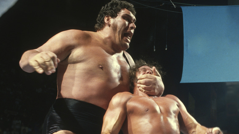 Andre The Giant and Randy Savage