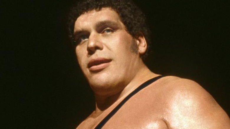 Andre The Giant set for a WWE match