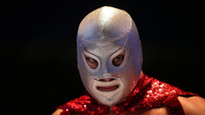 El Hijo del Santo