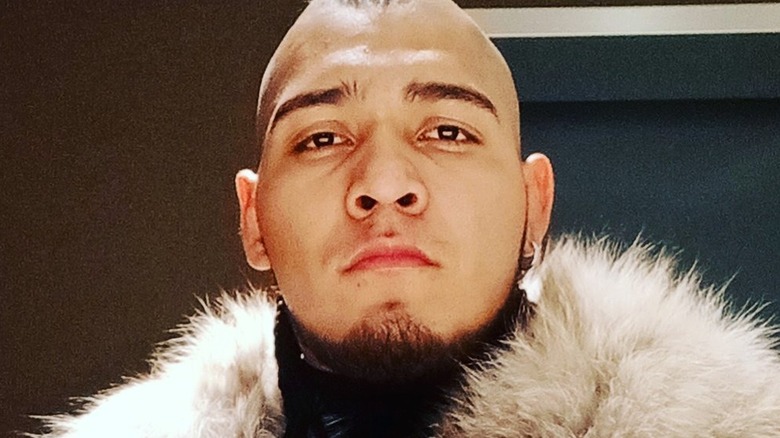 El Hijo Del Vikingo