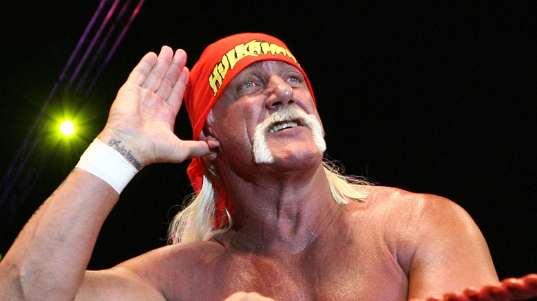 Hulk Hogan, searching for cheers, any cheers