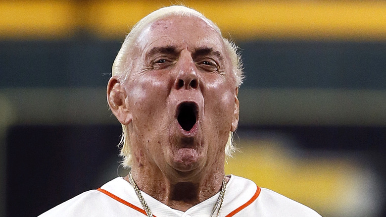 Ric Flair at a baseball game