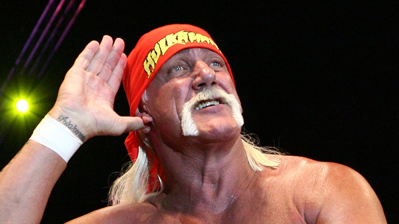 Hulk Hogan doing his pose, brother