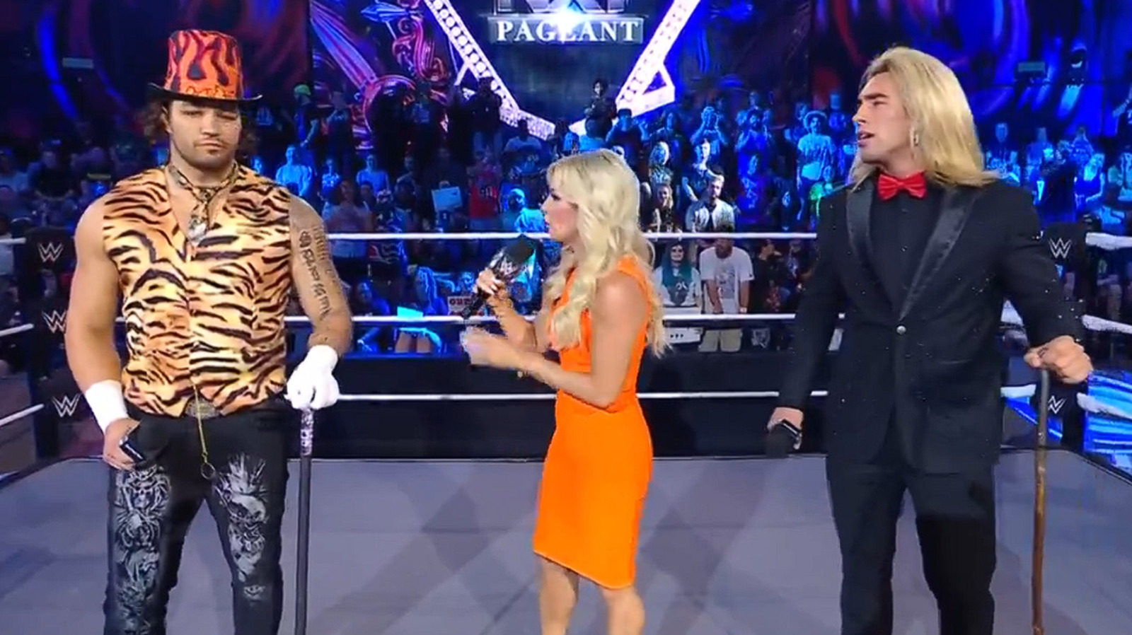 Fan Vote Determines First Ever 'Mr. NXT'