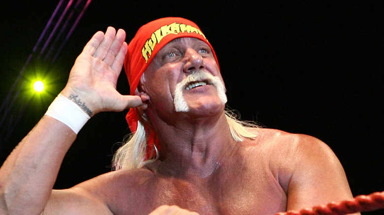 The late Hulk Hogan