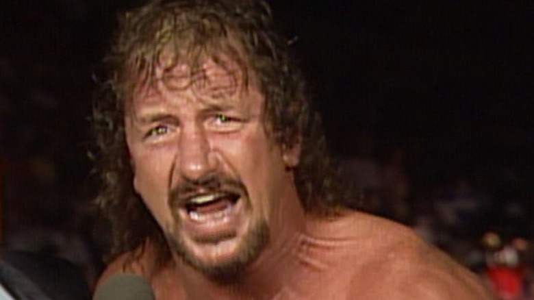 Terry Funk in WCW