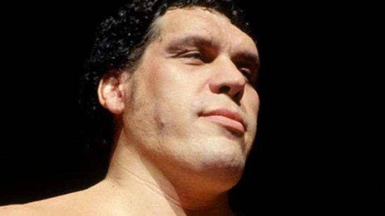 Andre The Giant looking away