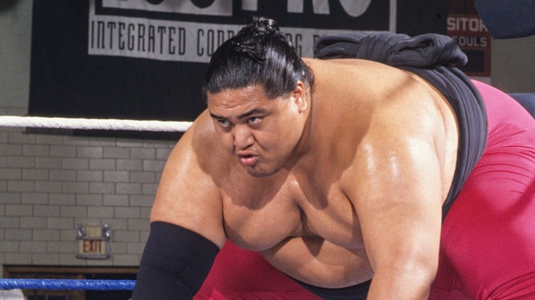 Yokozuna posing in the traditional Sumo Wrestler stance before a clash.