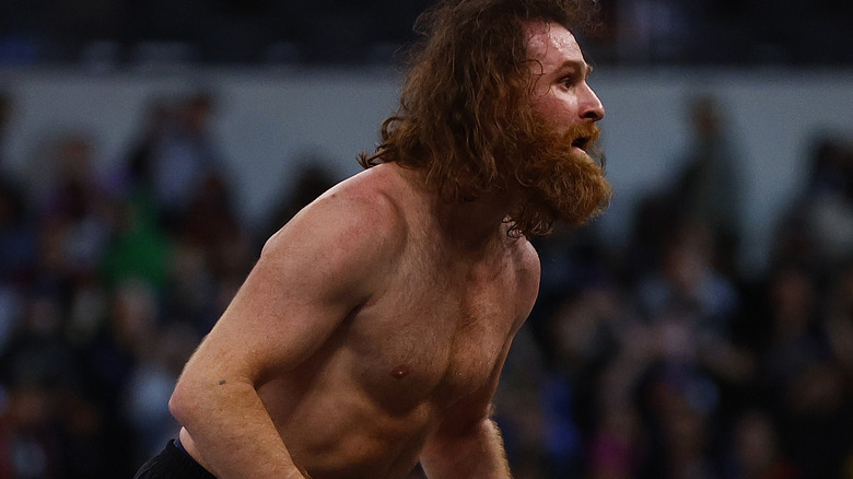 Sami Zayn celebrates win