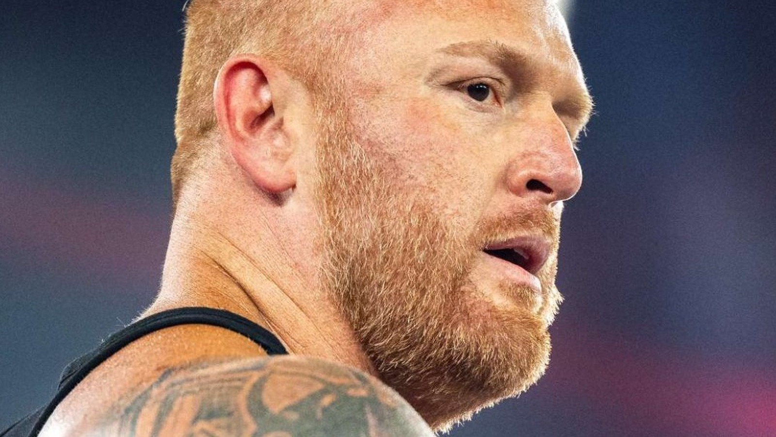 Heath Claims 'The Ruined Everything' In Pro Wrestling