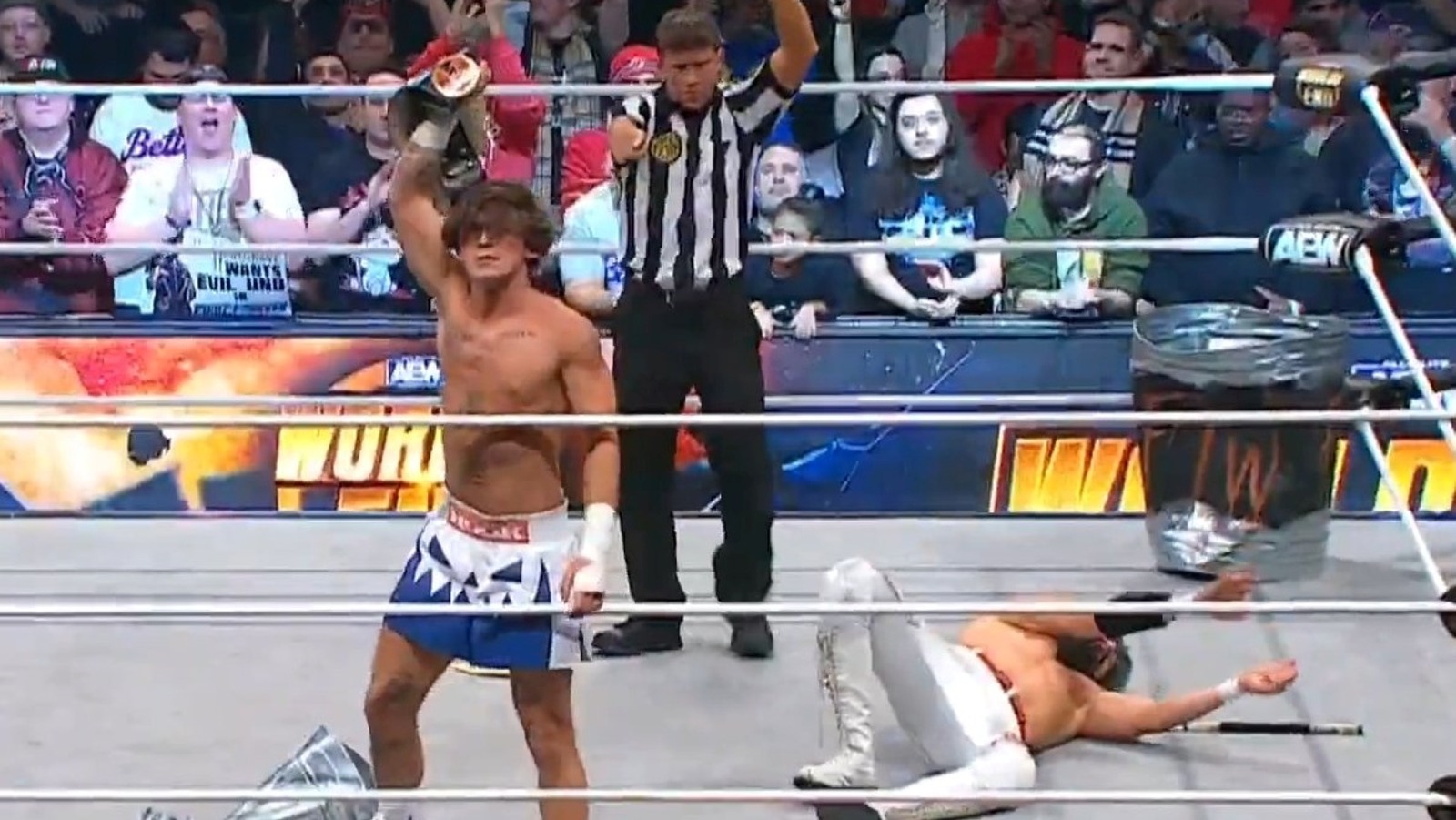 Hook, Luchasaurus, Willow Nightingale Prevail On AEW Worlds End Zero Hour - Vimarsana News