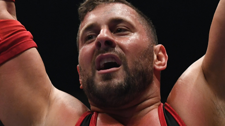 Colt Cabana pointing 