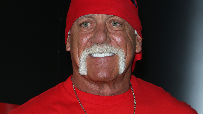 Hulk Hogan weeks before his racism scandal broke in 2015
