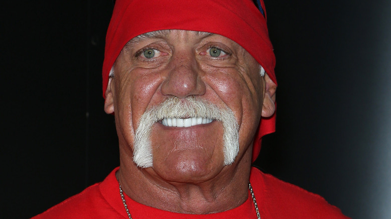 Hulk Hogan weeks before his racism scandal broke in 2015