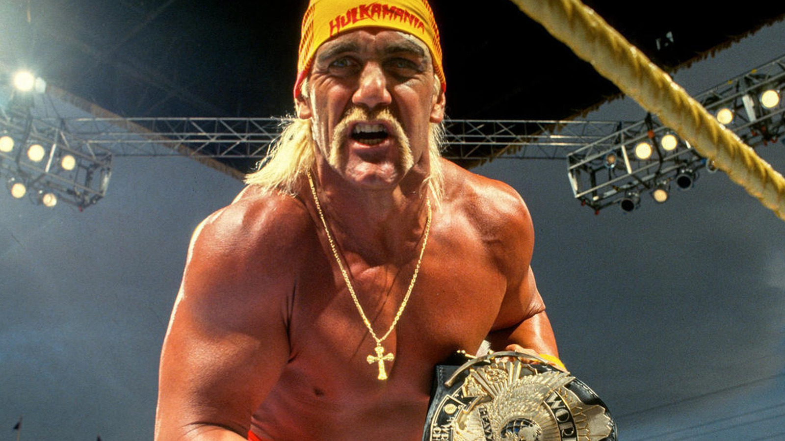 Hulk Hogan Says Pro Wrestling Isn't A Work, Despite Being Scripted