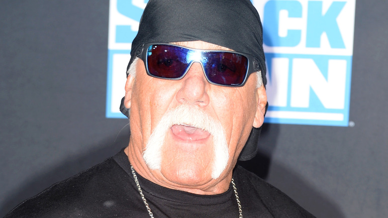 Hulk Hogan on the verge of saying "brother"