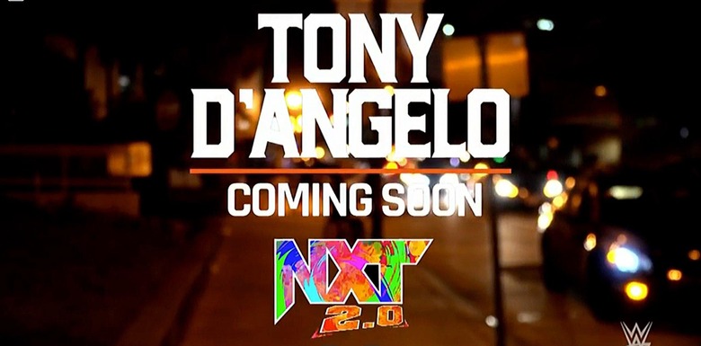 tony dangelo coming soon