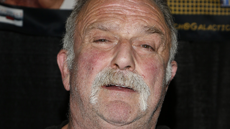 Jake Roberts staring