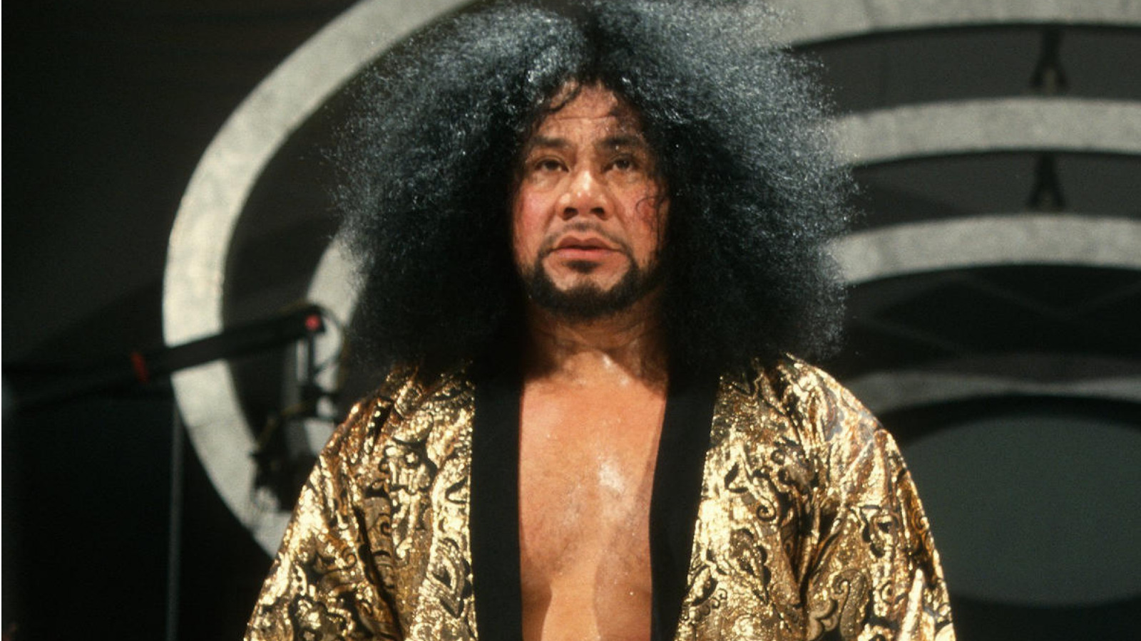 Haku wwe wiki