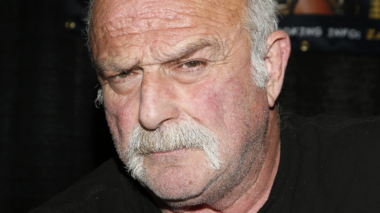 Jake Roberts staring