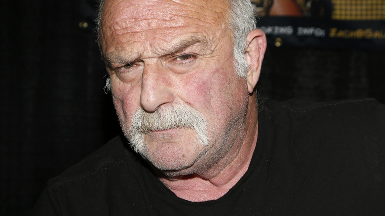 Jake Roberts