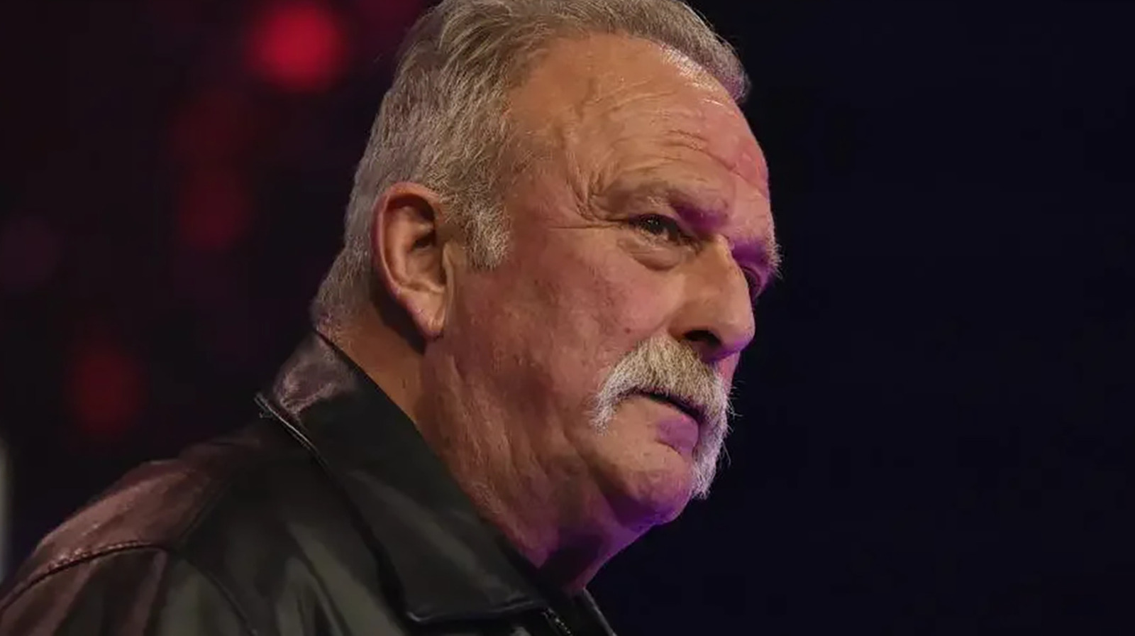Jake Roberts Gives Update On His Autobiography