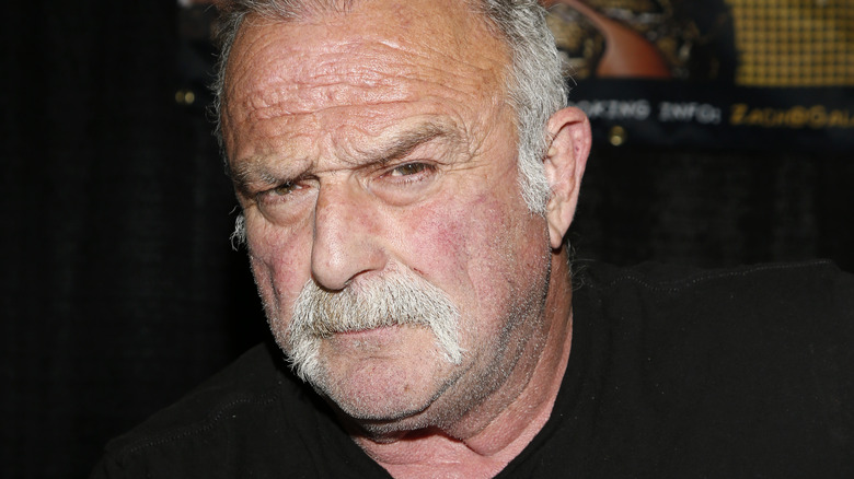 Jake Roberts posing