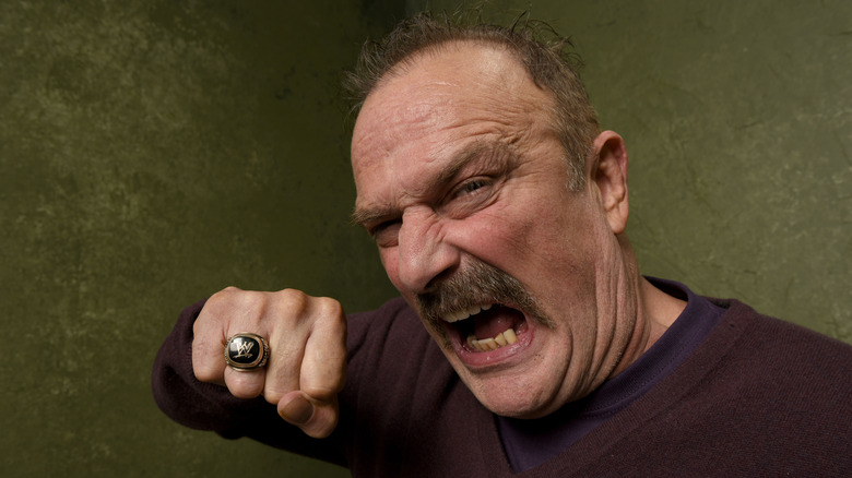 Jake "The Snake" Roberts fist