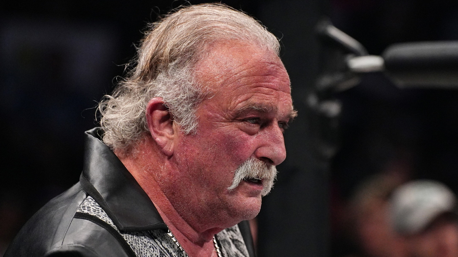 Jake The Snake Roberts Has Interesting Choice For WWE Retirement Match
