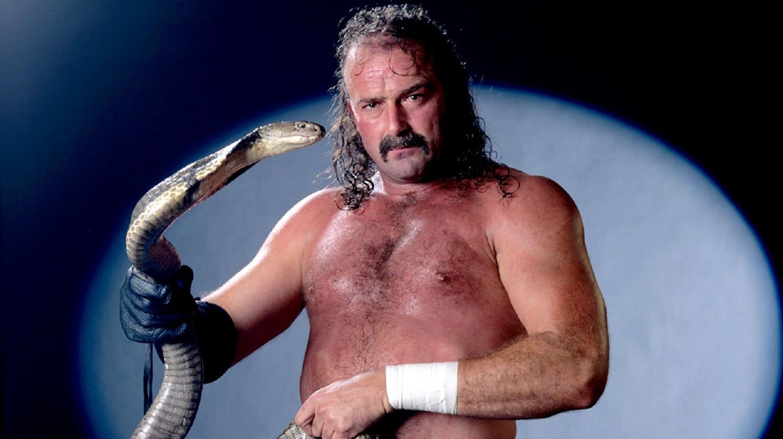 Jake The Snake Roberts Recalls Helping Two WWE Hall Of Famers With Characters