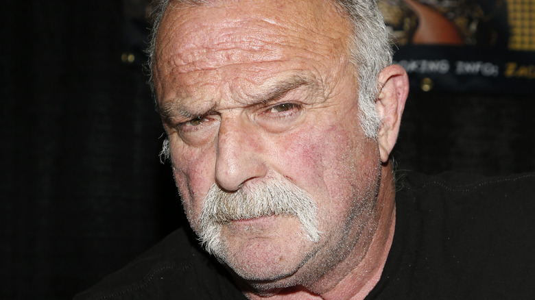 Jake Roberts looks inquisitive
