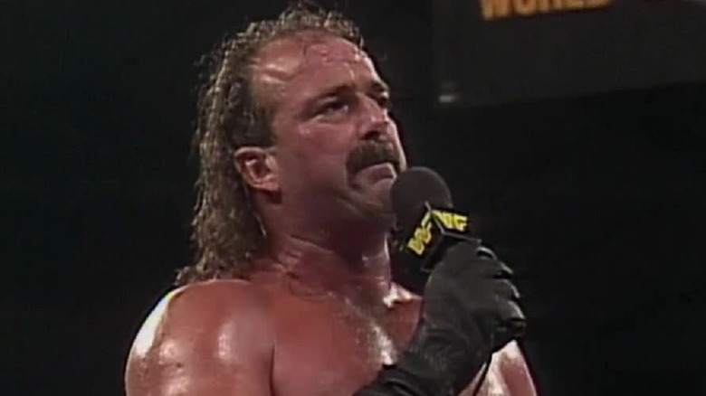 Jake "The Snake" Roberts in WWE