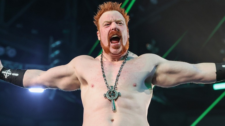 Sheamus posing at the top of the turnbuckle ahead of a match.