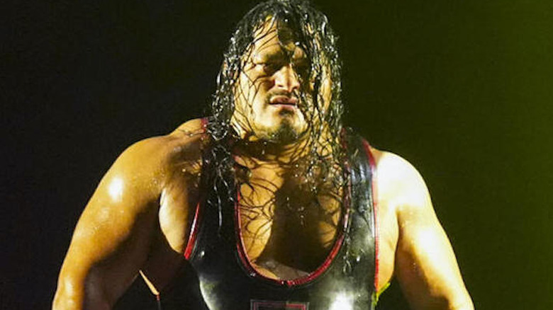 Jeff Cobb in WWE