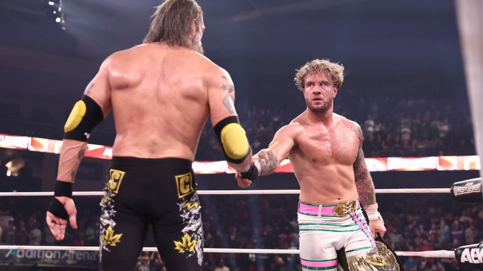 Jeff Jarrett Loved Seeing AEW Try 'New Things' At WrestleDream