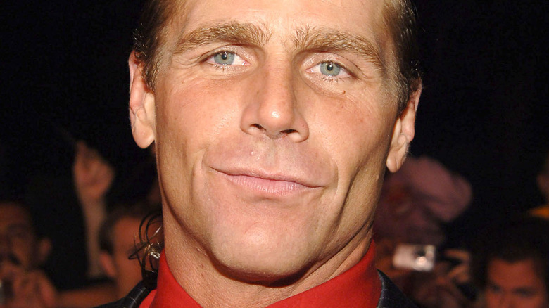 Shawn Michaels in 2006