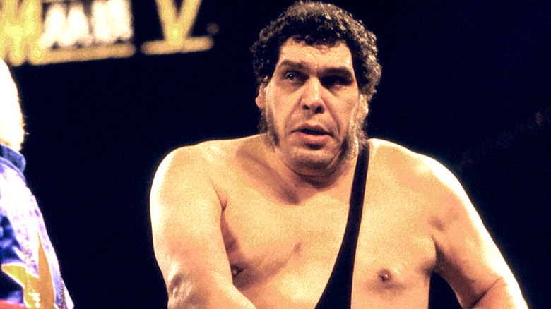 Andre the Giant in the ring