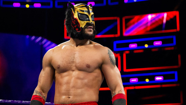 Lince Dorado inside the ring 
