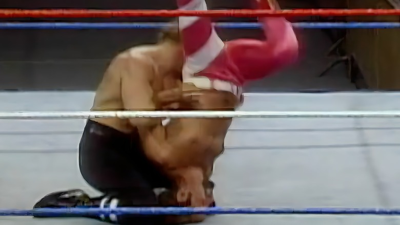 Triple H Pedigrees Marty Gardner