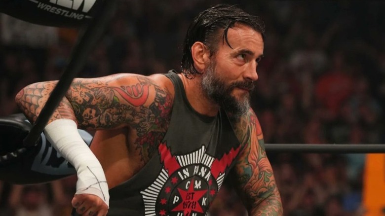 CM Punk in the ring