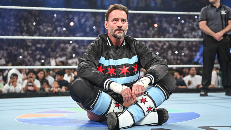 CM Punk in the ring