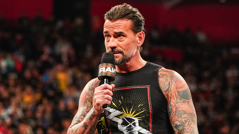 CM Punk in the ring