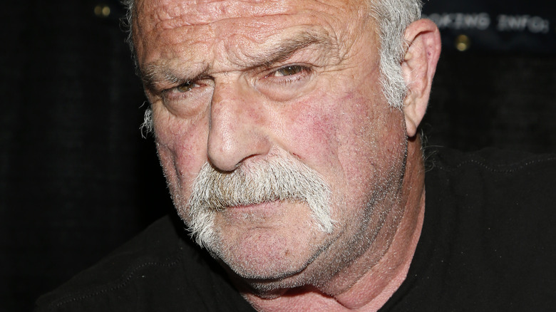 WrestleQuest star Jake Roberts raises eyebrow