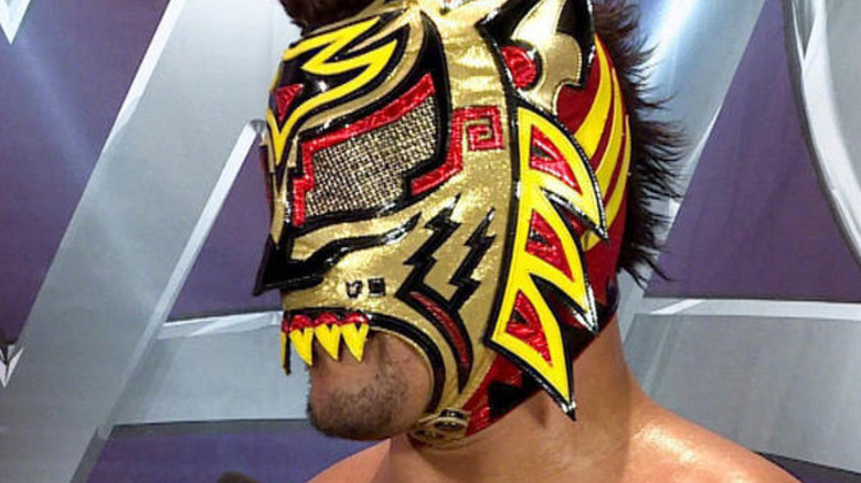 Lince Dorado looks away