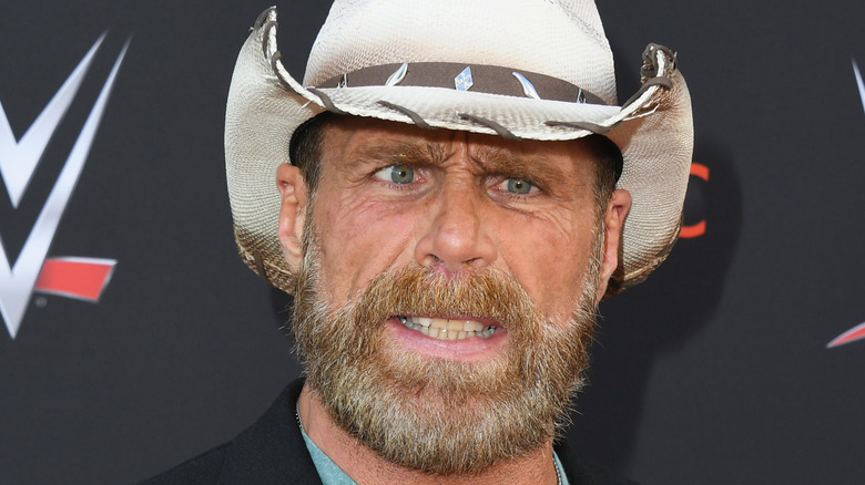 Shawn Michaels grimaces