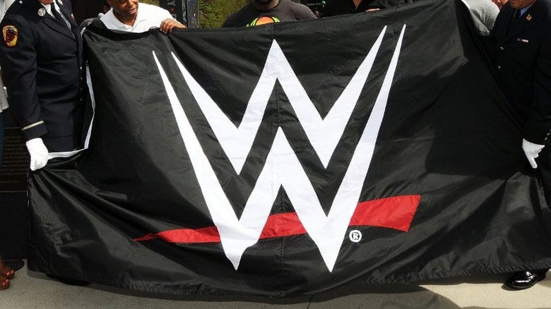 wwe logo flag 3