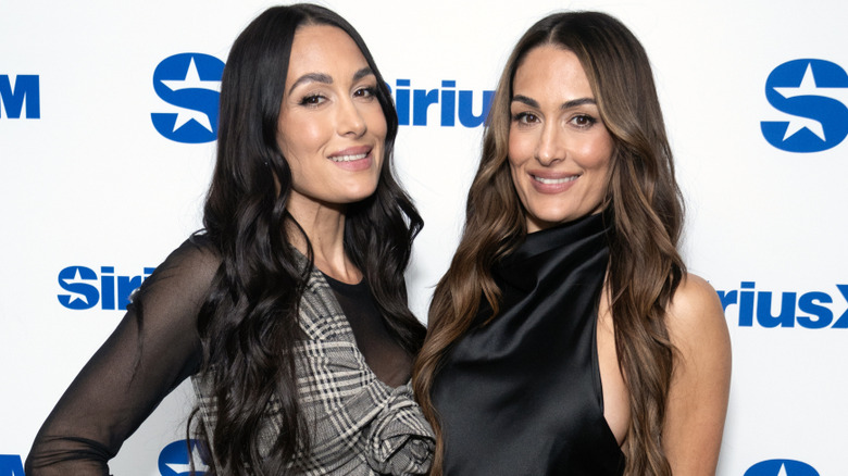 Brie and Nikki Bella smiling